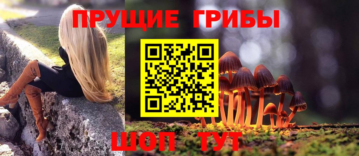Псилоцибиновые грибы Cubensis Мирный