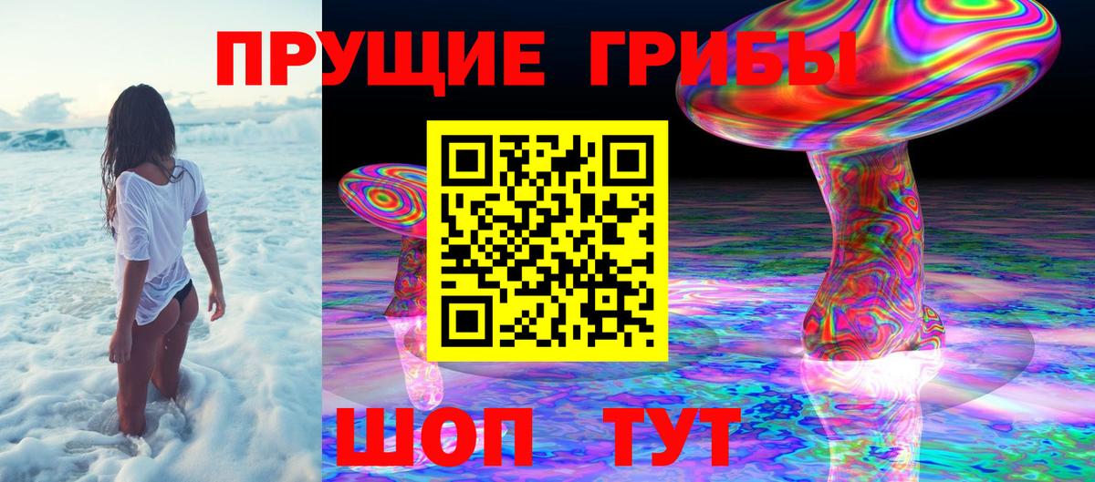 Мирный  Псилоцибиновые грибы Cubensis  Вход с VPN 